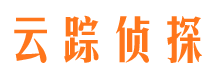 水城市调查取证